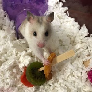 Meet your Posher, Lindsay